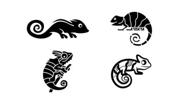 Siyah bukalemun siluet vektör simgesi seti. Egzotik küçük kertenkele vektör çizimi