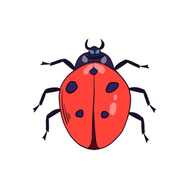 Beyaz arkaplanda uğur böceği çizimi 