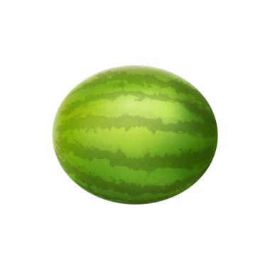 Gerçekçi Organik Karpuz Meyvesi