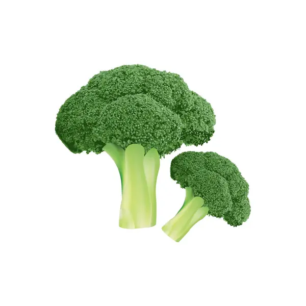 Gerçekçi Organik Brokoli