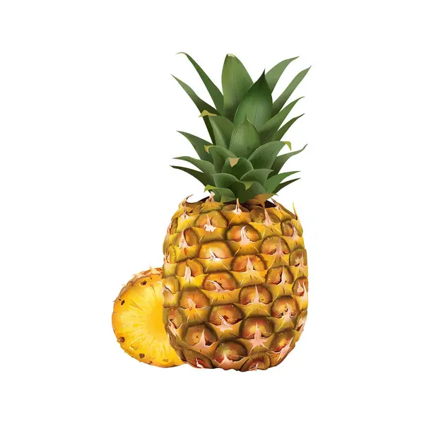 Gerçekçi dilimli Ananas Meyvesi