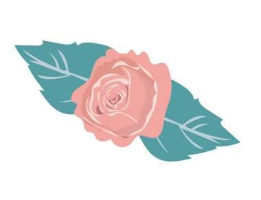 Basit bir düz stil ve izole bir elemente sahip, yumuşak pembe bir gül başı.