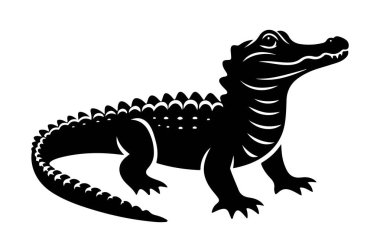 Timsah vektör silueti çizimi