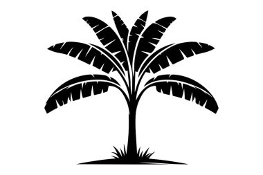 Banana tree silhouette Royalty Free Vector Image clipart