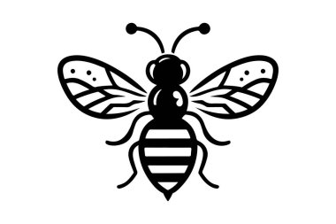 Bal Arısı Silueti Resimleri 