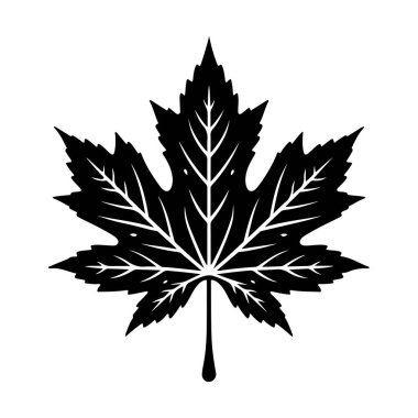 Yaprak simgesi. Vektör çizimi. Yaprak işareti tasarımı