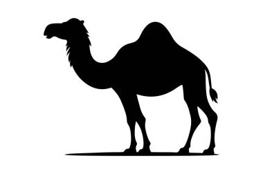 Beyaz arkaplanda Deve 'in vektör silueti.