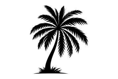 Palmiye ağacı silüeti. Vektör çizim.
