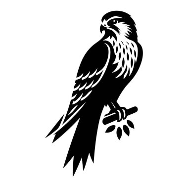 Şahin Şahin Kuş logo şablonu vektörü