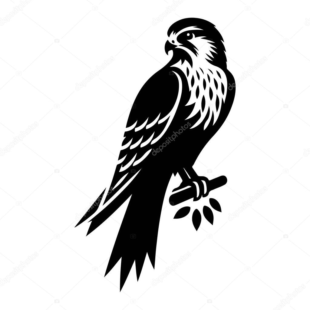 Falcon hawk bird logo template vector