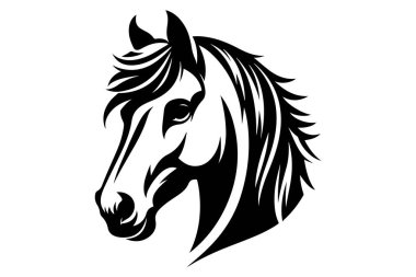 siyah ve beyaz at başı