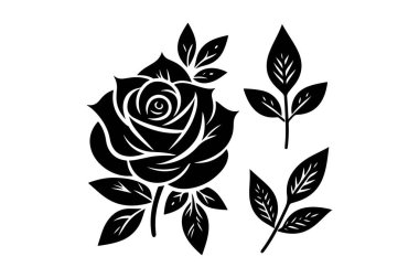 gül çiçeği siyah renk