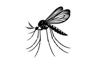 Sivrisinek ikonu. Beyaz vektörde izole edilmiş özet çizimi