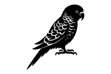 Siyah beyaz papağan kuşu. vektör illüstrasyonu