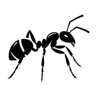 Beyaz üzerine siyah vektör karınca