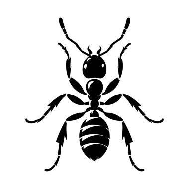Siyah bir böcek silueti. Beyaz arkaplanda vektör illüstrasyonu.