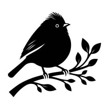 Bir kuşun vektör çizimi