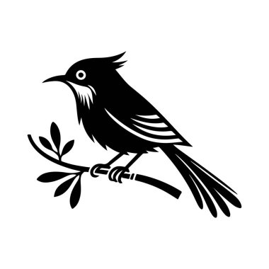 Siyah arkaplanı olan bir kuşun vektör çizimi