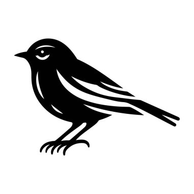 Beyaz arkaplanda kuş vektör resimleme