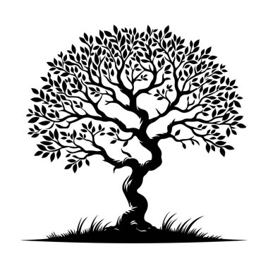 Yapraklı ağaç. Siyah vektör. Beyaz arkaplanda beyaz bir siluet.