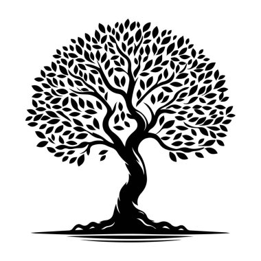 Bir ağacın silueti.