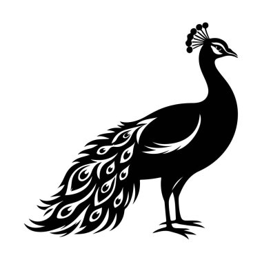 Beyaz arka planda siyah bir kuş silueti