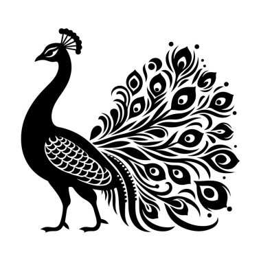 Beyaz arkaplanda tavus kuşunun vektör çizimi