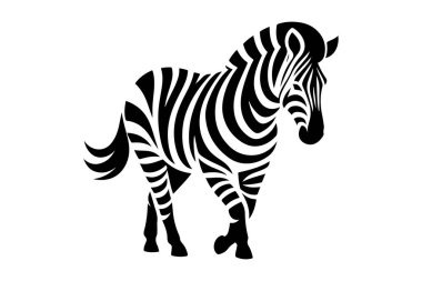 Zebra vektör resimleme
