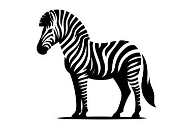 Zebra simgesi, vektör illüstrasyonu