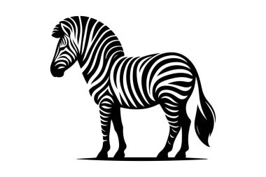 Zebra vektör çizimi, logo tasarımı, simge, vektör, illüstrasyon.