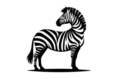 Zebra ikonu. Hayvan silueti izole edilmiş. vektör illüstrasyonu