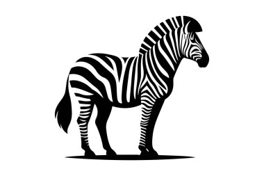 Zebra ikonu. vektör illüstrasyonu.