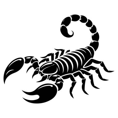 Bir akrebin siyah beyaz çizimi
