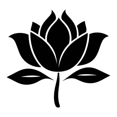 Beyaz arkaplanda nilüfer çiçeği