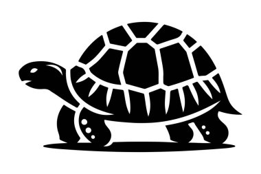 İzole edilmiş arka planda şirin kaplumbağanın vektör karikatürü. hayvan karakteri