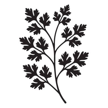 Zarif Maydanoz Silüeti Çizimi Mutfak Tasarımları İçin Mükemmel