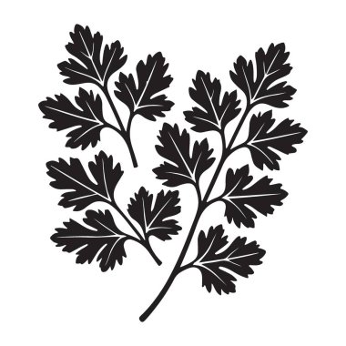 Zarif Maydanoz Silüeti Çizimi Mutfak Tasarımları İçin Mükemmel