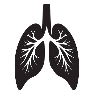 İnsan Ciğerleri Silüeti Resimlendirme Vektörü Grafik Tasarımı