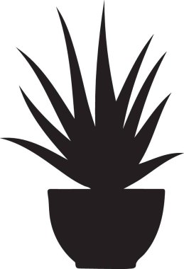 Aloe vera bitki vektör simgesi