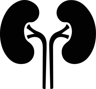 İnsan böbreği ikonu. vektör illüstrasyonu