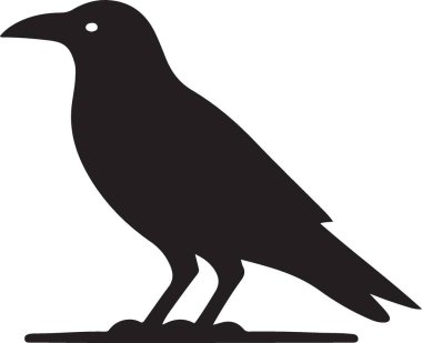 Kuş karga vektörü. Beyaz arkaplanda kuşun siyah silueti.