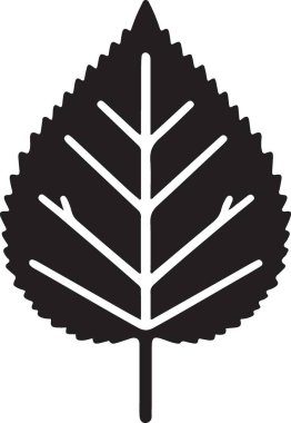 Zarif Siyah Siluet Yaprak İllüstrasyon Vektör Grafik Tasarımı