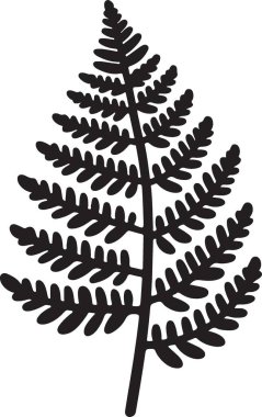 Zarif Siyah Siluet Fern İllüstrasyon Botanik Tasarım Elemanı