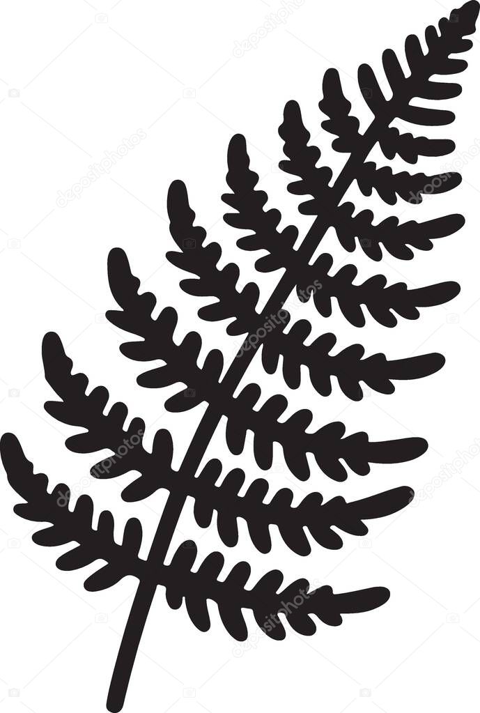Elegant Black Silhouette Fern Illustration Botanical Design Element