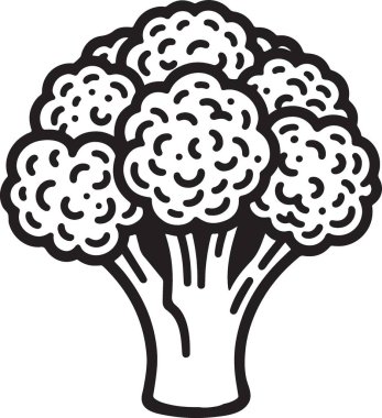 Bir brokoli kafasının çarpıcı siyah silüeti.