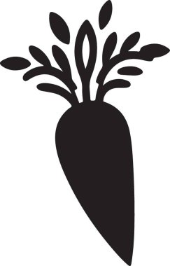 Taze havuç sebzesinin enfes bir silueti.