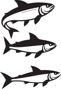Siyah beyaz bir balığın vektör çizimi