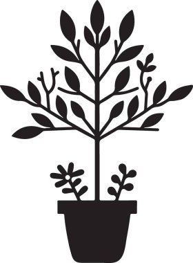 Saksıdaki saksı. saksıda saksı.