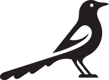 Beyaz arkaplanda kuş simgesi, vektör illüstrasyon tasarımı