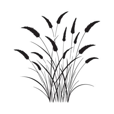 Vahşi bir çim çizimi, botanik tasarımlar ve doğa temalı projeler için ideal. Vektör grafik resmi ayrıntıları ve güzelliği olan bir yabani otlar alanı gösterir.